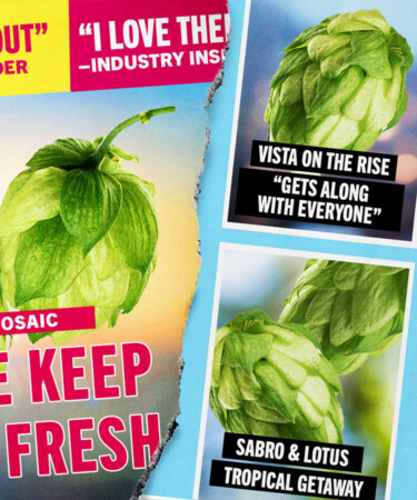 The Hottest New Hop Combinations for IPAs